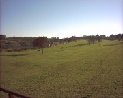 Clicca qui per vedere l'immagine in dettaglio