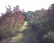 Clicca qui per vedere l'immagine in dettaglio