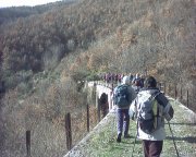 Clicca qui per vedere l'immagine in dettaglio