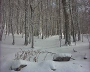 Clicca qui per vedere l'immagine in dettaglio