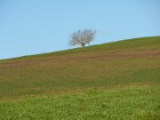 Clicca qui per vedere l'immagine in dettaglio