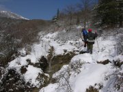 Clicca qui per vedere l'immagine in dettaglio