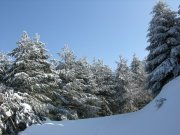 Clicca qui per vedere l'immagine in dettaglio