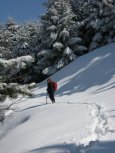 Clicca qui per vedere l'immagine in dettaglio