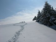 Clicca qui per vedere l'immagine in dettaglio