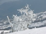 Clicca qui per vedere l'immagine in dettaglio