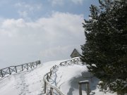 Clicca qui per vedere l'immagine in dettaglio