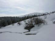 Clicca qui per vedere l'immagine in dettaglio