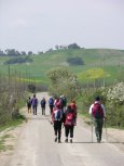 Clicca qui per vedere l'immagine in dettaglio