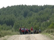 Clicca qui per vedere l'immagine in dettaglio