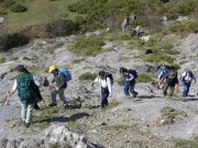 Clicca qui per vedere l'immagine in dettaglio