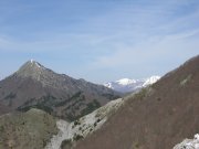 Clicca qui per vedere l'immagine in dettaglio