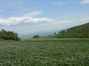 Clicca qui per vedere l'immagine in dettaglio
