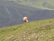 Clicca qui per vedere l'immagine in dettaglio