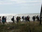 Clicca qui per vedere l'immagine in dettaglio