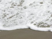 Clicca qui per vedere l'immagine in dettaglio