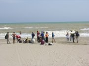 Clicca qui per vedere l'immagine in dettaglio
