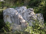 Clicca qui per vedere l'immagine in dettaglio
