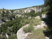 Clicca qui per vedere l'immagine in dettaglio
