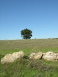 Clicca qui per vedere l'immagine in dettaglio