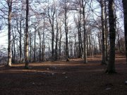Clicca qui per vedere l'immagine in dettaglio