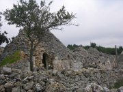 Clicca qui per vedere l'immagine in dettaglio