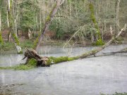 Clicca qui per vedere l'immagine in dettaglio