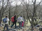 Clicca qui per vedere l'immagine in dettaglio