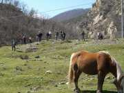 Clicca qui per vedere l'immagine in dettaglio