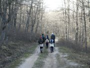 Clicca qui per vedere l'immagine in dettaglio