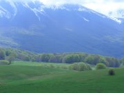 Clicca qui per vedere l'immagine in dettaglio