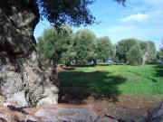 Clicca qui per vedere l'immagine in dettaglio