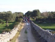 Clicca qui per vedere l'immagine in dettaglio