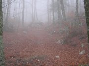 Clicca qui per vedere l'immagine in dettaglio