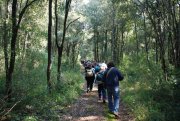 Clicca qui per vedere l'immagine in dettaglio