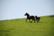 Clicca qui per vedere l'immagine in dettaglio