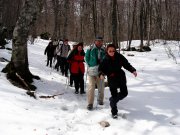 Clicca qui per vedere l'immagine in dettaglio