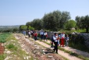Clicca qui per vedere l'immagine in dettaglio