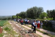 Clicca qui per vedere l'immagine in dettaglio