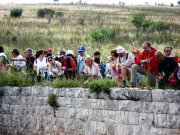 Clicca qui per vedere l'immagine in dettaglio