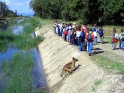Clicca qui per vedere l'immagine in dettaglio