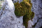 Clicca qui per vedere l'immagine in dettaglio