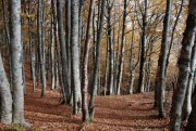Clicca qui per vedere l'immagine in dettaglio
