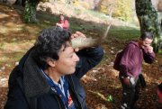 Clicca qui per vedere l'immagine in dettaglio