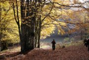 Clicca qui per vedere l'immagine in dettaglio