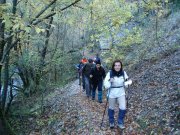 Clicca qui per vedere l'immagine in dettaglio
