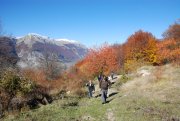 Clicca qui per vedere l'immagine in dettaglio