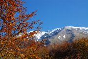 Clicca qui per vedere l'immagine in dettaglio