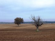 Clicca qui per vedere l'immagine in dettaglio