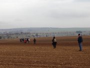 Clicca qui per vedere l'immagine in dettaglio
